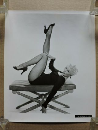 Sheree North In Fishnet Stockings Leggy Pinup Portrait Photo 1950 
