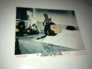 Escape From Planet Of The Apes Vintage Movie Lobby Card Poster 1971 Sci - Fi