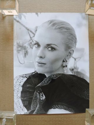 Virna Lisi Candid Glamour Portrait Photo 1960 