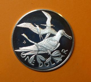 British Virgin Islands: Silver Proof One Dollar 1974.  Unc.  0.  925 Silver.  Km 6a