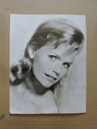 Lee Remick Glamour Studio Portrait Photo 1966