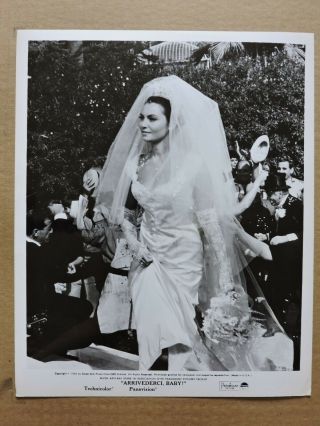 Rosanna Schiaffino In A Wedding Dress Busty Portrait Photo 1966 Arrivederci Baby