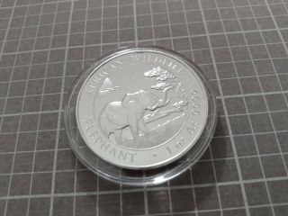2019 1 Oz.  999 Silver African Elephant In Plastic Case