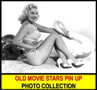 9,  800 Retro Celebrity Movie Stars Postcard Photos In Dvd Woman Pin Up Art Images