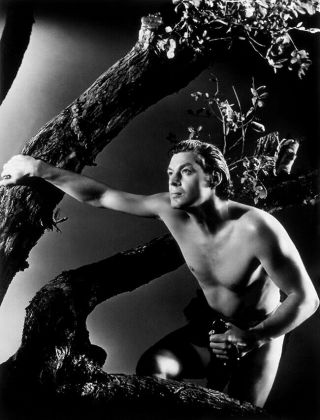 Johnny Weissmuller - Tarzan The Ape Man (1932) - 8 1/2 X 11