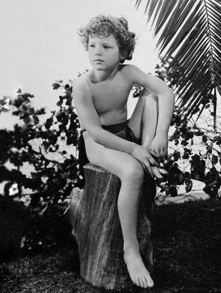 Johnny Sheffield - Tarzan Finds A Son (1939) - 8 1/2 X 11