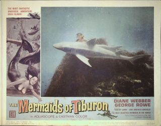 The Mermaids Of Tiburon Lobby Card 6 George Robotham,  Diane Webber