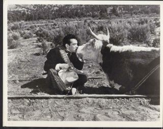 Cantinflas Kissing A Cow Around The World In 80 Days 1956 Movie Photo 32470