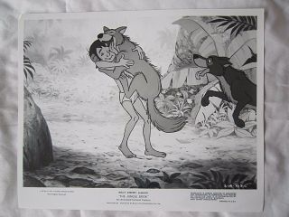 1967 Walt Disney Studio Library Jungle Book Press Photo Mowgli & Wolves 8 X 10
