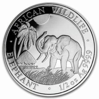 2017 1/2 Oz Somalia Silver Elephant Coin (bu)