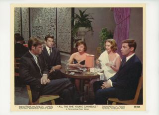 All Fine Young Cannibals Color Movie Still 8x10 Natalie Wood 1960 20924