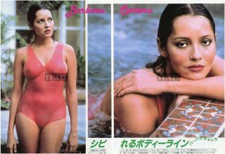 Barbara Carrera In Swimsuit 1981 Japan Picture Clippings 2 - Sheets Ob/r