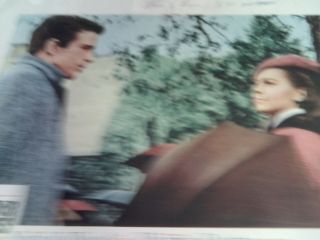 Splendor in the Grass 1961 Orig US 11x14 Lobby Card Natalie Wood Warren Beatty 2