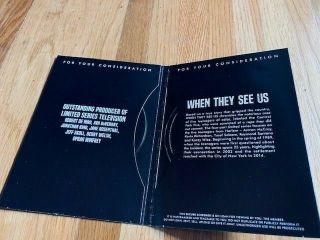 FYC 2 DVD Set - WHEN THEY SEE US Complete Series Netflix FYC Emmy Ava DuVernay 2
