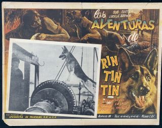Rin Tin Tin Law Of The Wild Bob Custer Lucille Brown Mexican Lobby Card 1934