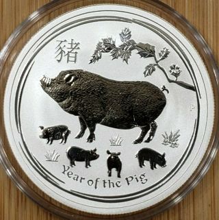 2019 Australia 1/2 Oz.  Lunar Year Of The Pig Silver Coin With Capsule