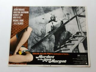 Vintage Lobby Card Horror 11x14 Movie Murders In The Rue Morgue 1971