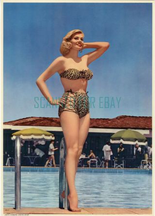 Sexy Anita Ekberg In The 1950s Cheesecake 5x7 Photo