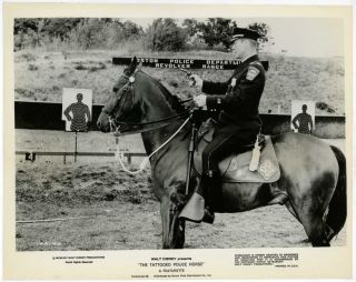 The Tattooed Police Horse 1964 Walt Disney Still Photo Sandy Sanders