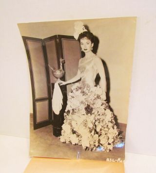 Ann Blyth 1957 The Helen Morgan Story Movie Photo Promo Still Vintage B&w