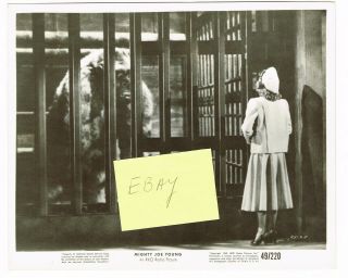 Mighty Joe Young Movie Photo 1949 Terry Moore King Kong W O 