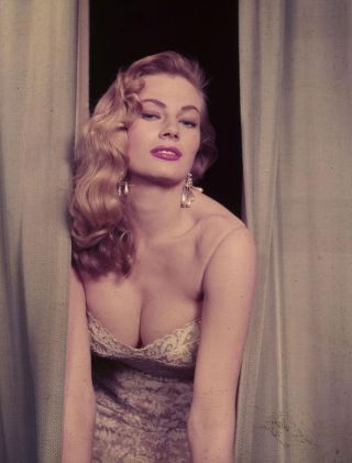 Glossy Photo Picture 8x10 Anita Ekberg Sexy Leaning Forward