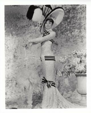 Audrey Hepburn 1964 B&w My Fair Lady Photo 325