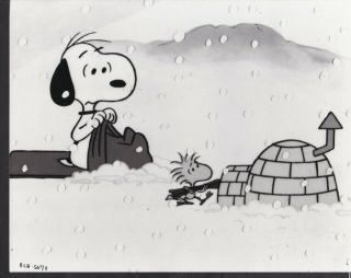 Snoopy & Woodstock Race For Your Life Charlie Brown 1977 Cartoon Photo 30002
