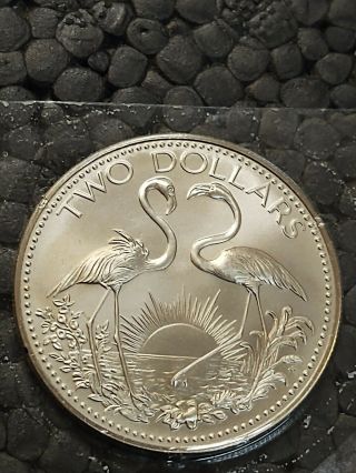 2 Dollar1974 The Bahamas Bohemian Arms Flamingos Silver Coin