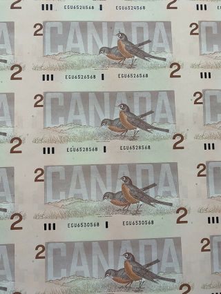Uncut Sheet of 40 Canada 1986 2 Dollar Bank Notes 3