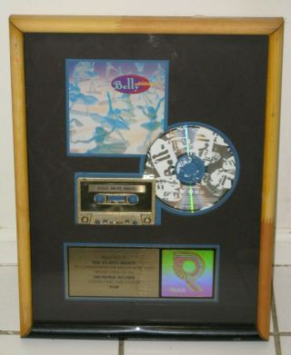 Belly Riaa Gold Sales Award For 1993 Album " Star " Feat.  " Feed The Tree "