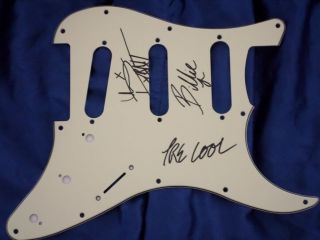Green Day Pick Guard Hand Signed,