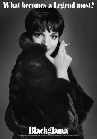 Blackglama Liza Minnelli Vintage Advertising Poster Mink Fur Coat 17x22