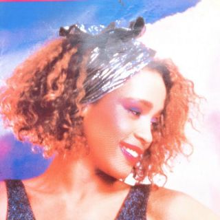Whitney Houston / Video Disc Whitney Houston Promotion Poster 2