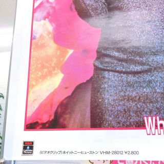 Whitney Houston / Video Disc Whitney Houston Promotion Poster 3