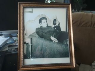 Elvis Presley 1956 In Bed Photo Rare And 1950s Vintage Elvis