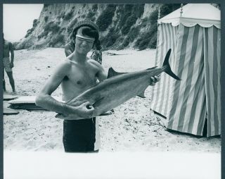 Monkees Press Photo By Gene Trindl - M127 - Mike Nesmith Plays A Fish - 1967 - Estm