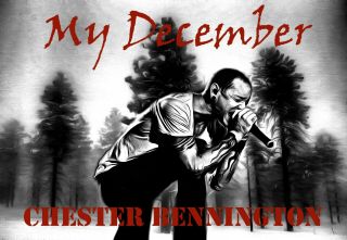 Linkin Park Poster Art 20x30 Large Print " My December " Chester Bennington