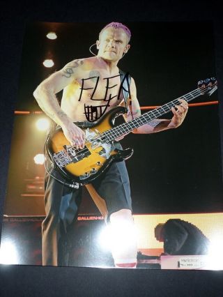 Red Hot Chili Peppers Rare Hand Signed Poster Flea With Autograph