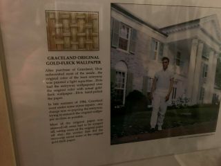 Elvis Presley Owned Wallpaper From Graceland