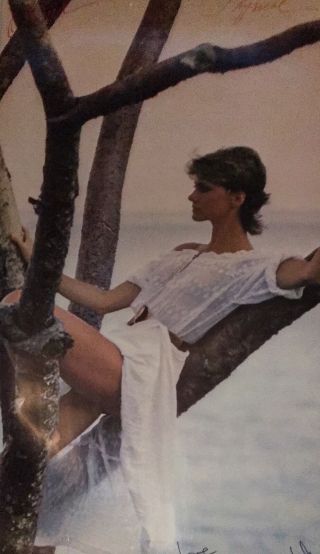 Olivia Newton John Physical Album Australian In Store Promo Poster
