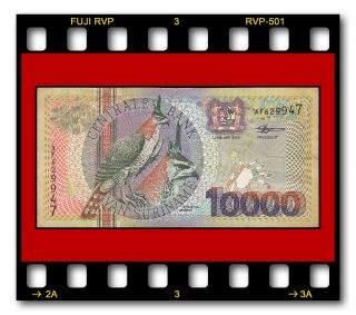 Suriname P - 153 10,  000 Gulden 01.  01.  2000 Birds Issue Banknote