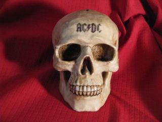 Ac/dc Life Size Resin Skull Bank Spooky Scary Real Looking Scarce See