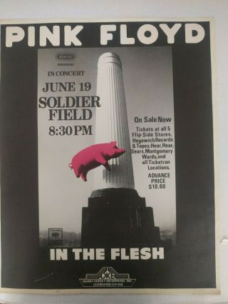 Pink Floyd Animals Tour 1977 Chicago Poster Full Size 17 " X 23 "