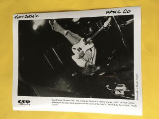 Kurt Cobain Press Photo 8x10”,  Nirvana.