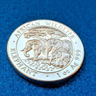 2013 1 Oz 999 Silver Elephant Coin From Somali Republic