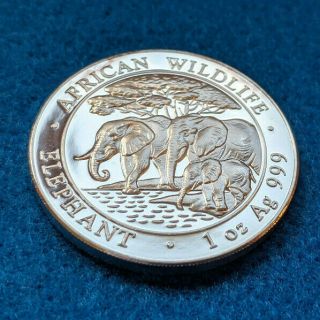 2013 1 oz 999 Silver Elephant coin from Somali Republic 3