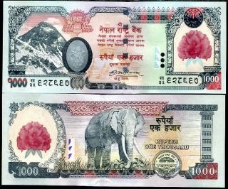 Nepal 1000 1,  000 Rupees 2007 2008 Elephant P 67 Unc Nr