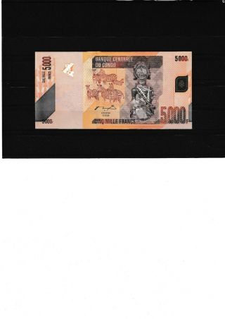 Congo Very Rare 5000 Francs 2005 P - 102 Error No Serial Number Unc &053