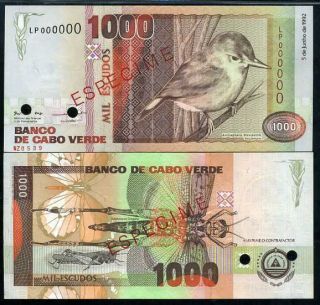Cape Verde 1000 1,  000 Escudos 1992 Bird Specimen P 65 Unc Nr
